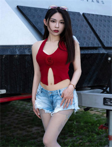 《樊少皇电视剧》